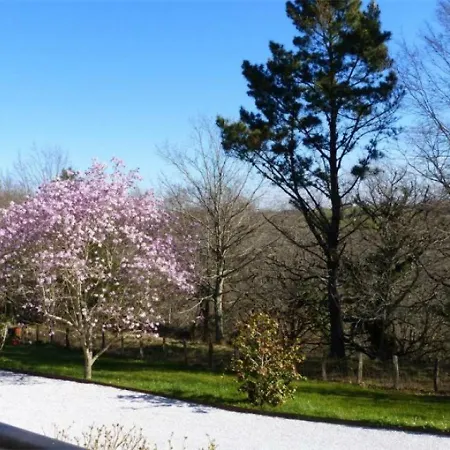 Villa House Pee Sur Nivelle - 10 Pers, 230 M2, 6/5